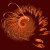 :iconButterFractal: