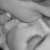 :iconbuttermoth: