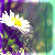 :iconbutterscotcheyes: