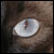 :iconbuttersweet-stock: