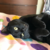 :iconbutterxscotch: