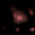 :iconbuttonmasher50: