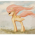 :iconbuttonsthecatt: