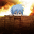 :iconbutty-chan:
