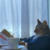 :iconbuyaboatplz: