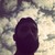 :iconbuz-mavisi: