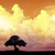 :iconbuzzcorp: