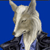 :iconbuzzingjackal: