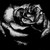 :iconbvbarmy98: