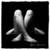 :iconbwabbit015:
