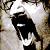 :iconbwana-dik: