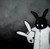 :iconbwb2992: