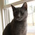 :iconbweisephotography:
