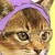 :iconbwickmoo: