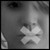 :iconbwitched-bluemoon: