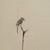 :iconby-grim-energy: