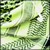 :iconby-thenn: