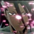 :iconbyaku-chan:
