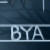 :iconbyakugan2495: