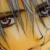 :iconByakuraiWolf999: