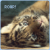 :iconbydandphotography: