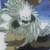 :iconbygfoote: