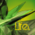 :iconbykow: