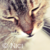 :iconbynici: