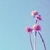 :iconbyslvbbs: