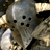 :iconbzenwrath: