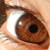 :iconbzzzzzzz: