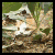 :iconc077335: