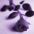 :iconc0mfortablynumb: