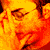 :iconc0s: