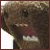 :iconc0smik-c0nnecti0n: