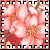 :iconc3ksiva5: