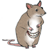 :iconC4rat: