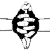 :iconc8h10n4o2: