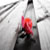 :iconc-a-r-p-ediem: