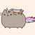 :iconc-bear-22: