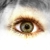 :iconc-cucumber:
