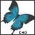 :iconc-h-o: