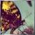 :iconc-hildsplay: