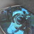 :iconc-lapitanpictures: