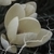 :iconc-maya-z:
