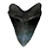 :iconc-megalodon: