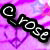:iconc-r0se-x: