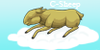 :iconc-sheep: