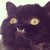 c-sparkle-the-rebel :iconc-sparkle-the-rebel: