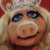:iconc-wilk: